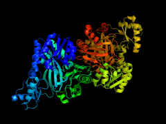 multi-protein complex image