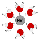 Sodium solvation in water