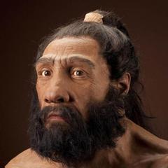 neanderthal picture