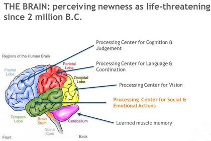 <b>perceiving newness pic</b>