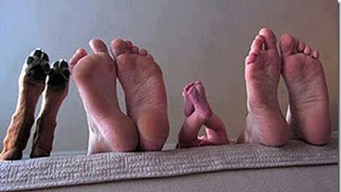 [ dog and human feet pic ]