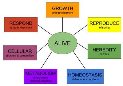 [ Characteristics of life pic ]