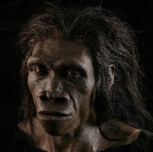 <b>Homo erectus female pic</b>