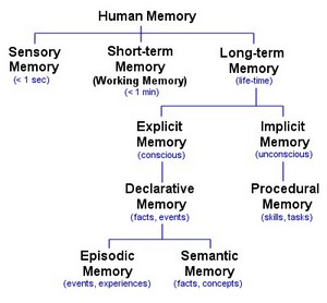 [ memory types picture ]