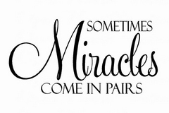 miracles in pairs picture