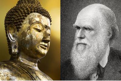 [ Buddha and Darwin pic ]