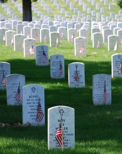 <b>Graves at Arlington pic</b>